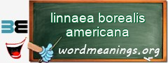 WordMeaning blackboard for linnaea borealis americana
